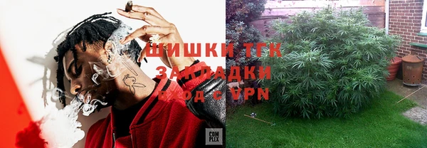гашик Алзамай