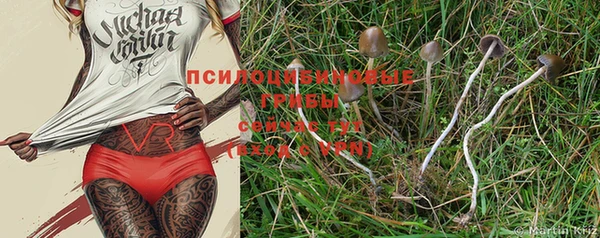 крисы Алексеевка