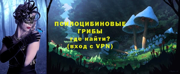 гашик Алзамай