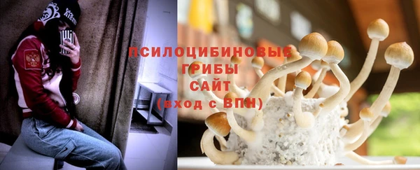 крисы Алексеевка