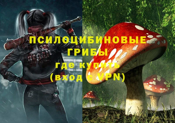 гашик Алзамай